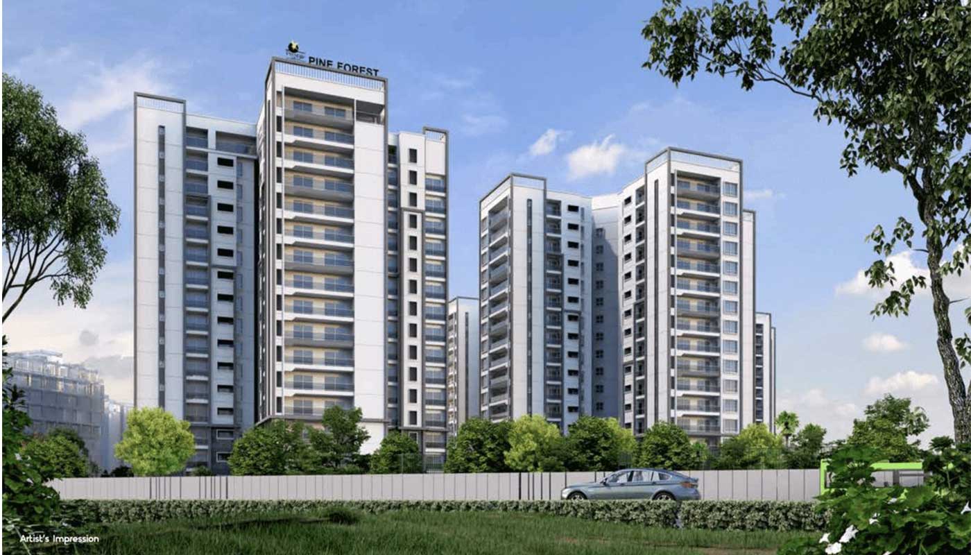 Prestige Pine Forest