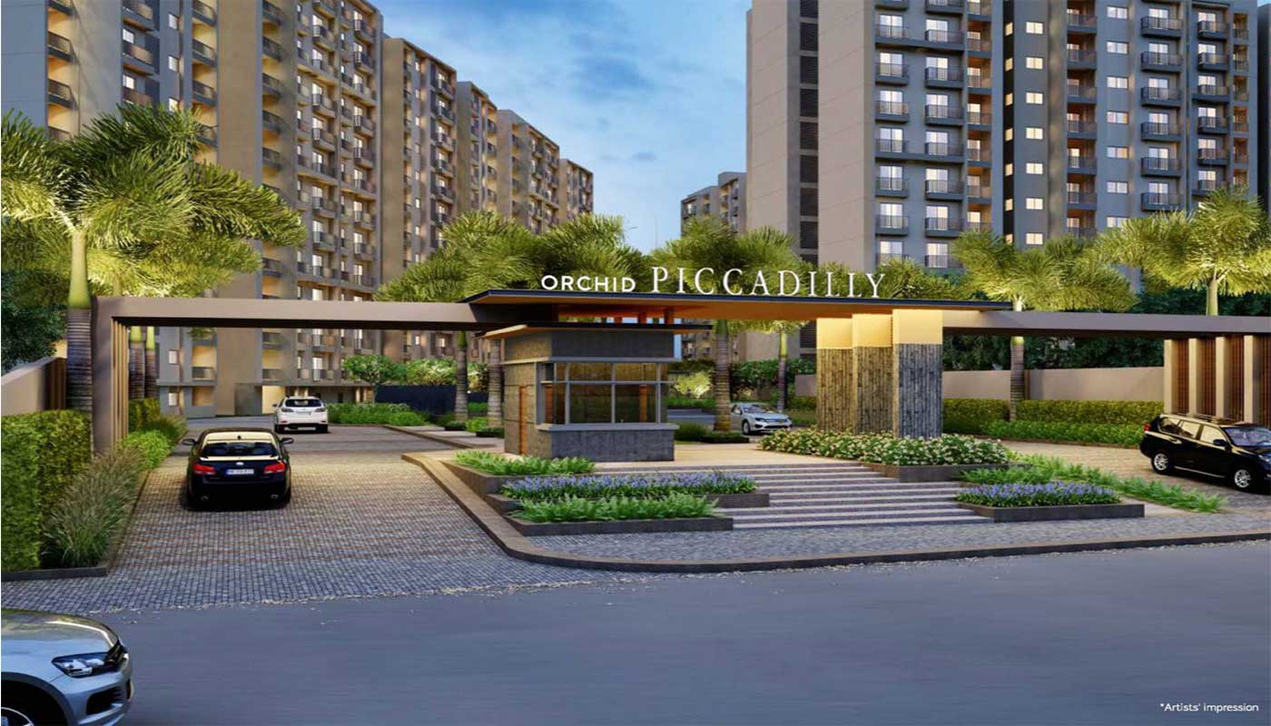Orchid Piccadilly