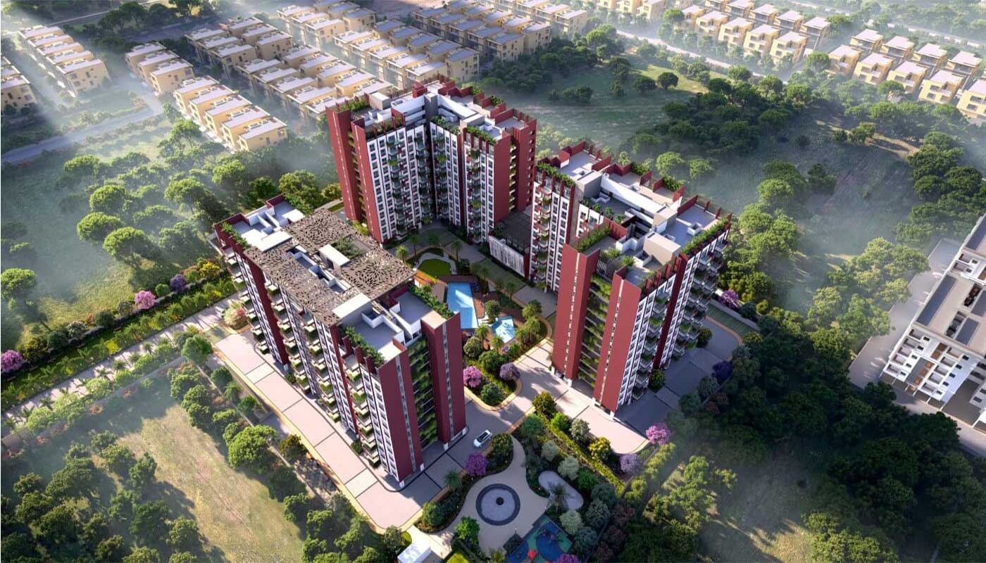 Cynosure Sunny Groves