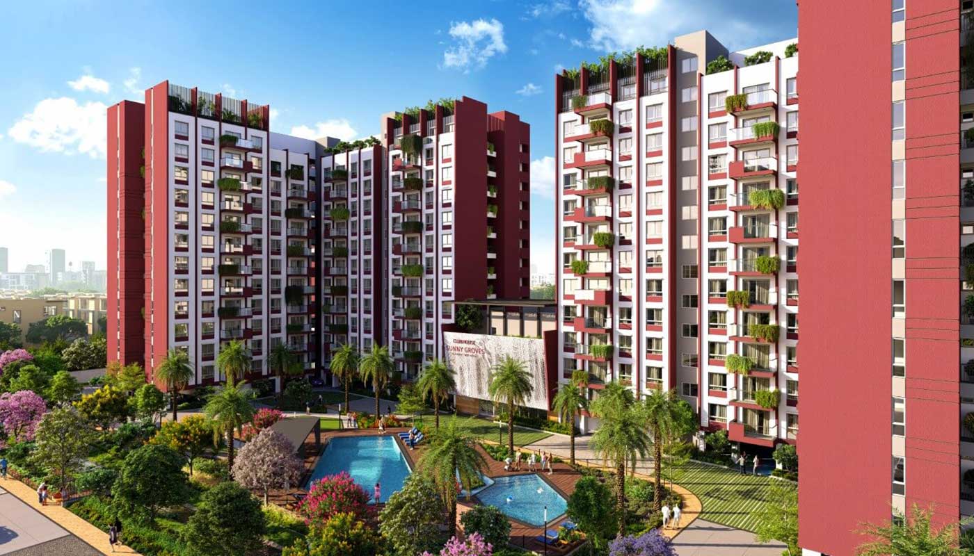 Cynosure Sunny Groves