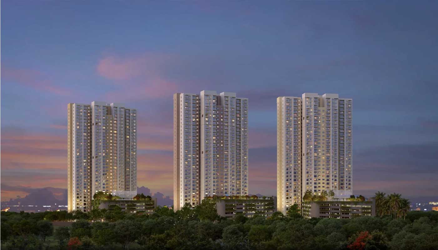 Alembic Cloud Forest