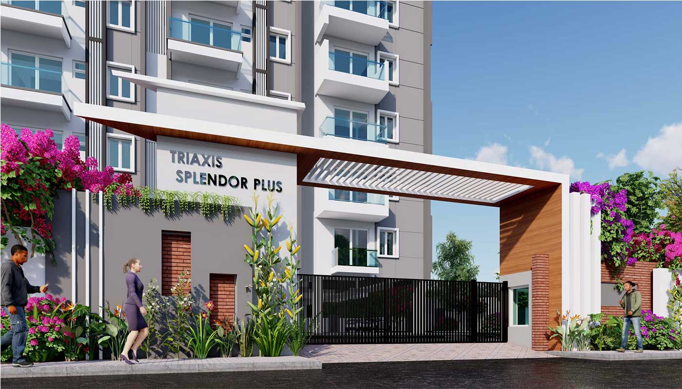 Triaxis Splendour Plus