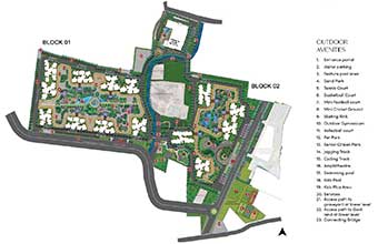 Prestige Southern Star