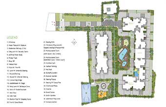 Cynosure Sunny Groves