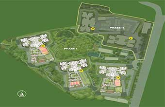 Alembic Cloud Forest