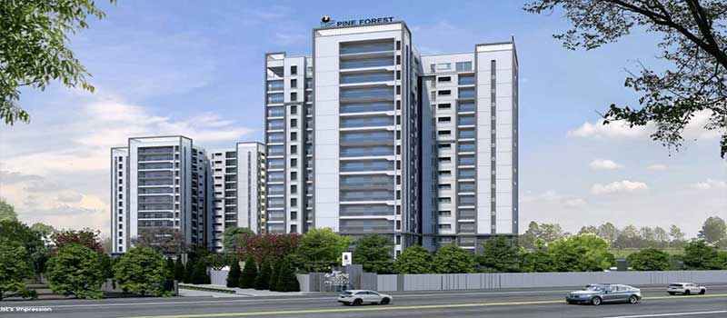 Prestige Pine Forest