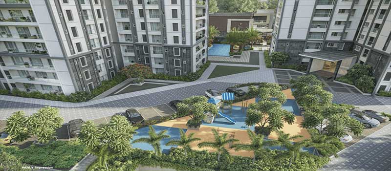 Prestige Pine Forest