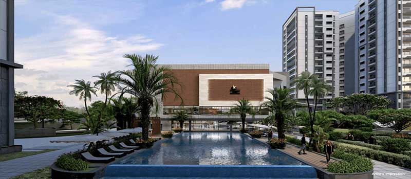 Prestige Pine Forest