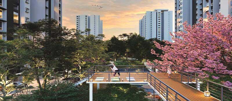 Provident Ecopolitan