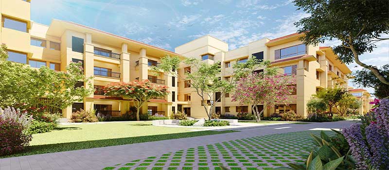 Pearl at Brigade Atmosphere