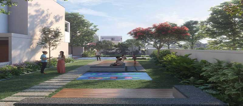 NVT Under the Open Sky