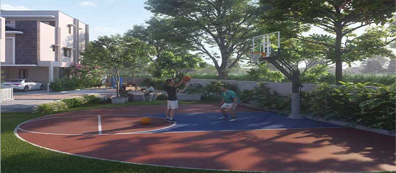 NVT Under the Open Sky