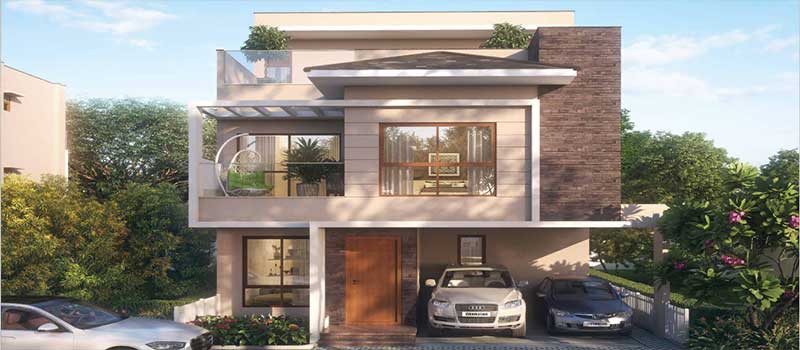 NVT Under the Open Sky