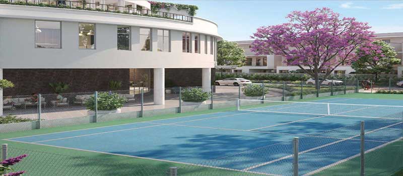 NVT Under the Open Sky