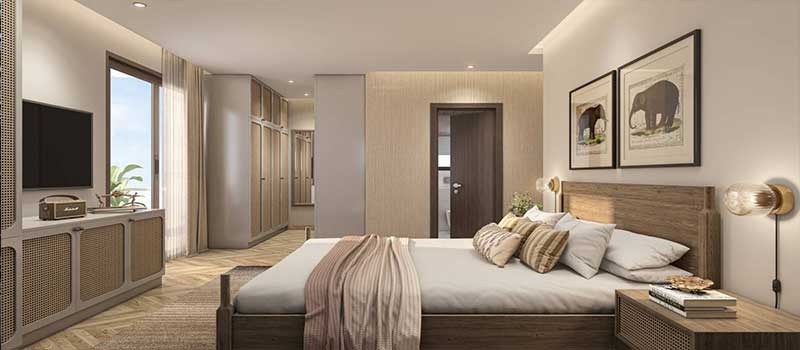 Assetz Sora And Saki