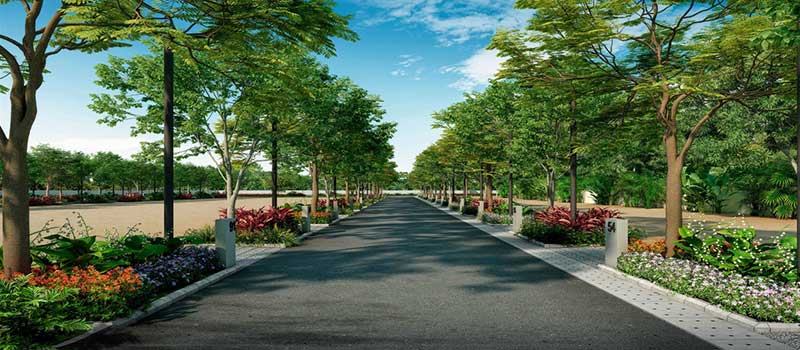 Assetz Atmos And Aura