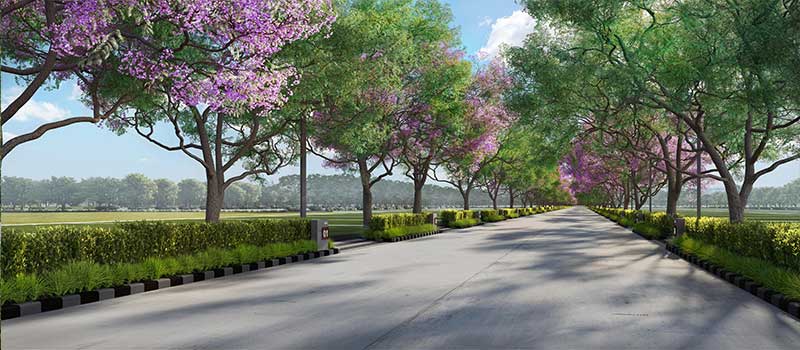 Assetz Melodies of Life