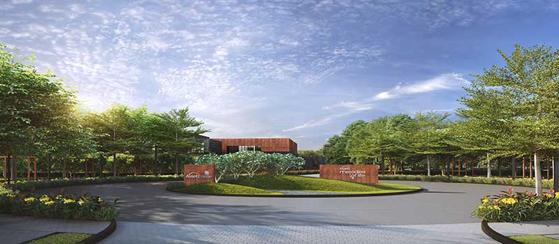 Assetz Melodies of Life