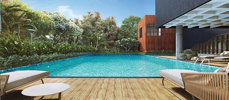 Assetz Melodies of Life