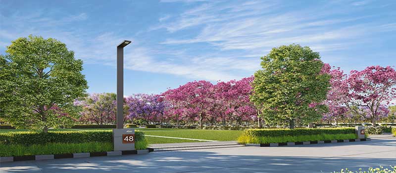 Assetz Melodies of Life