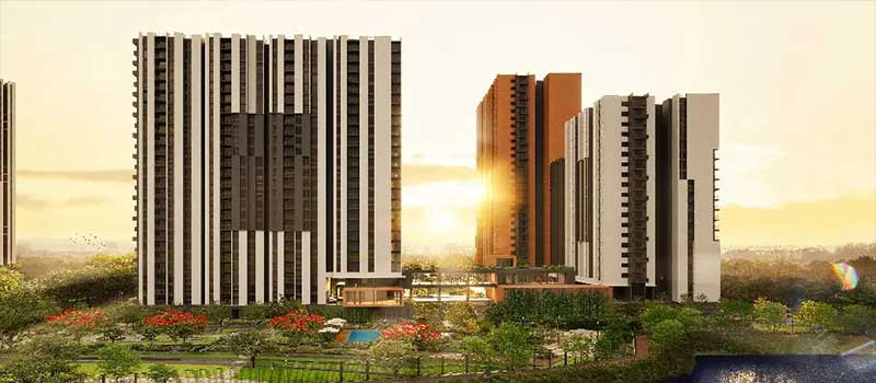 Assetz Canvas and Cove