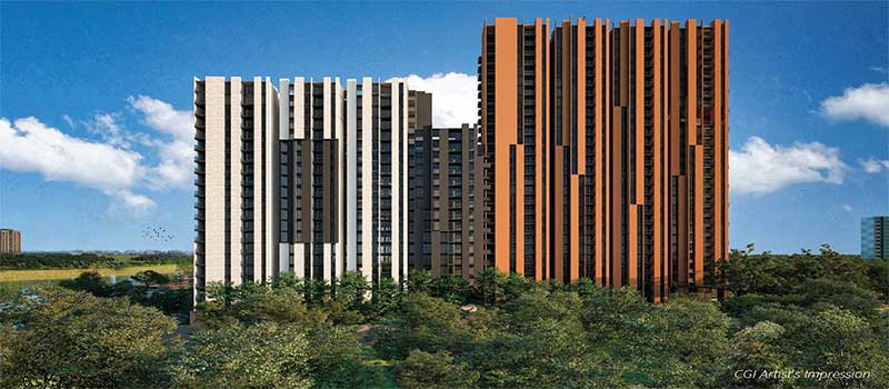 Assetz Canvas and Cove