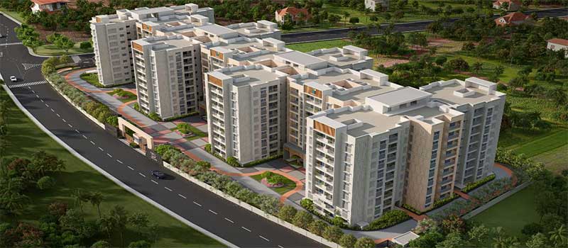 Ebony At Brigade Orchards