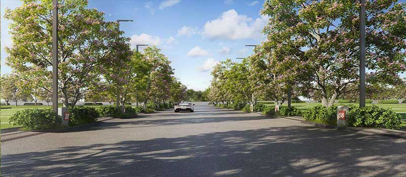 Assetz Promise of Spring