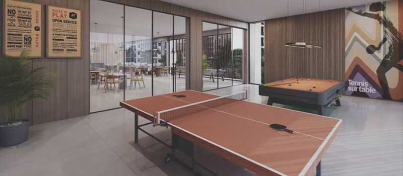 Goyal Orchid Salisbury