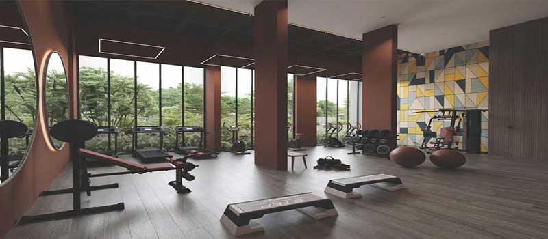 Goyal Orchid Salisbury