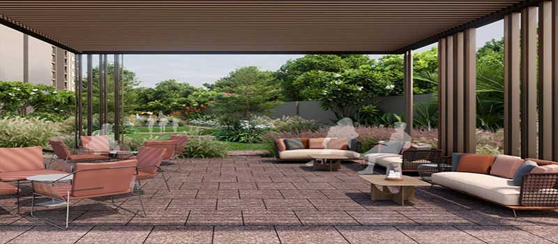 Goyal Orchid Salisbury