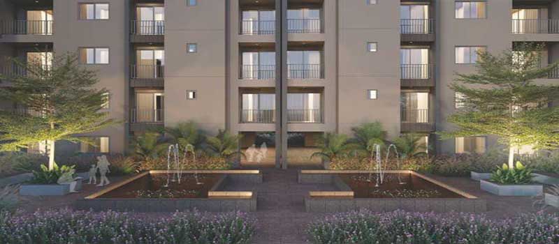 Goyal Orchid Salisbury