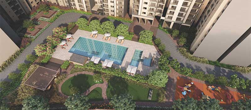 Goyal Orchid Salisbury