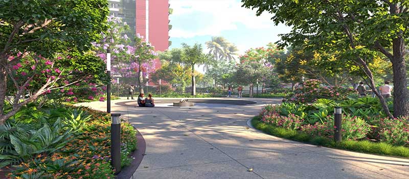 Cynosure Sunny Groves