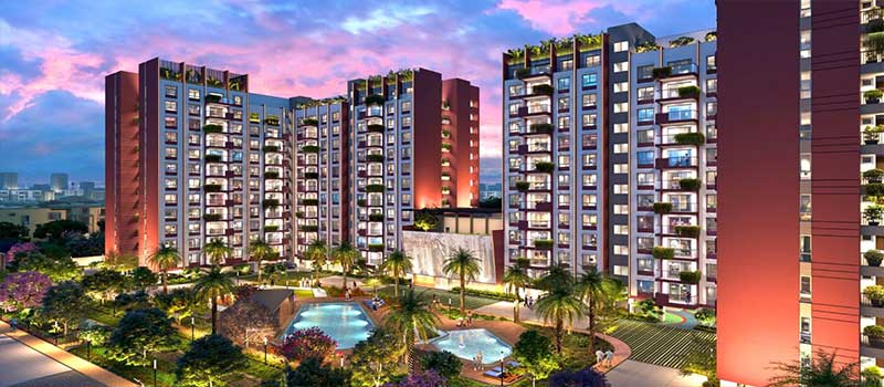 Cynosure Sunny Groves