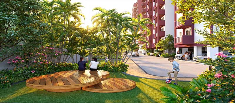 Cynosure Sunny Groves