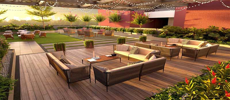 Cynosure Sunny Groves