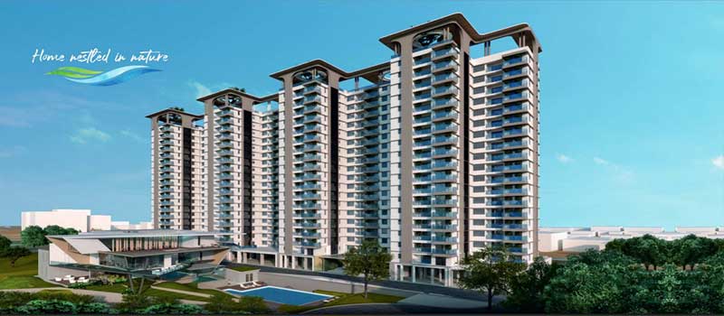 NCC Urban Lake Springs