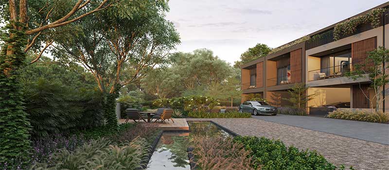 Arvind Forest Trails