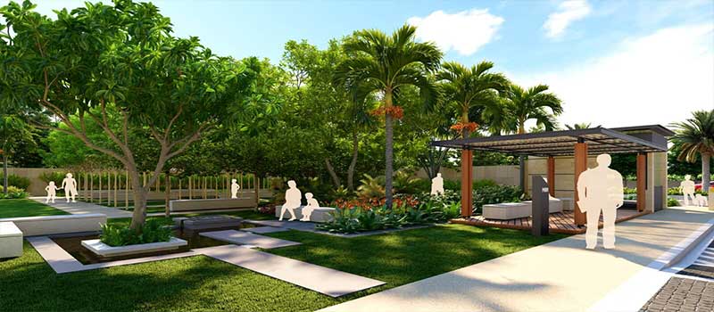 NBR Soul of the Seasons