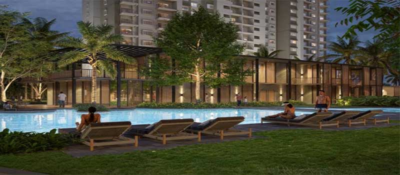 Alembic Cloud Forest