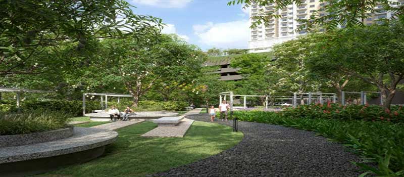 Alembic Cloud Forest