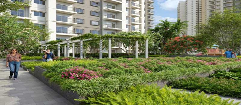 Alembic Cloud Forest