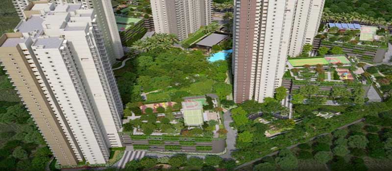 Alembic Cloud Forest