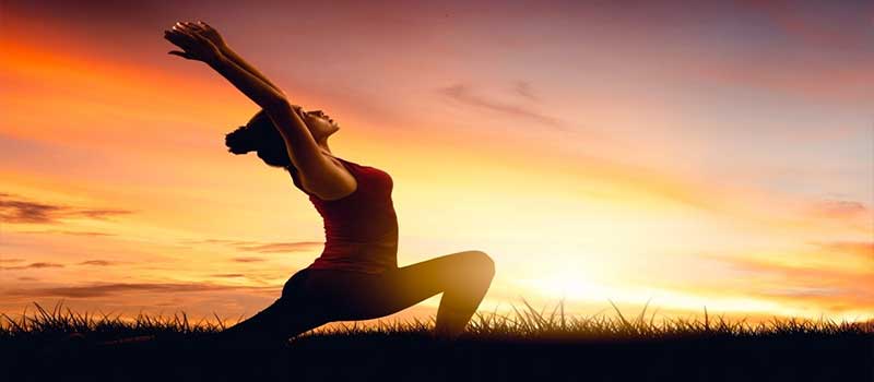 Prestige Autumn Leaves