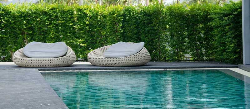 Prestige Autumn Leaves