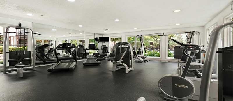 Prestige Autumn Leaves