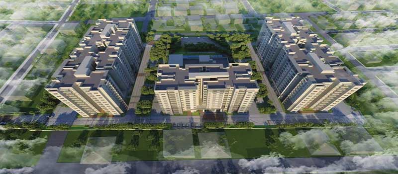 Prestige Willow Tree