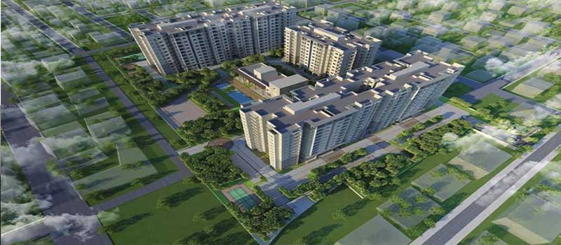 Prestige Willow Tree