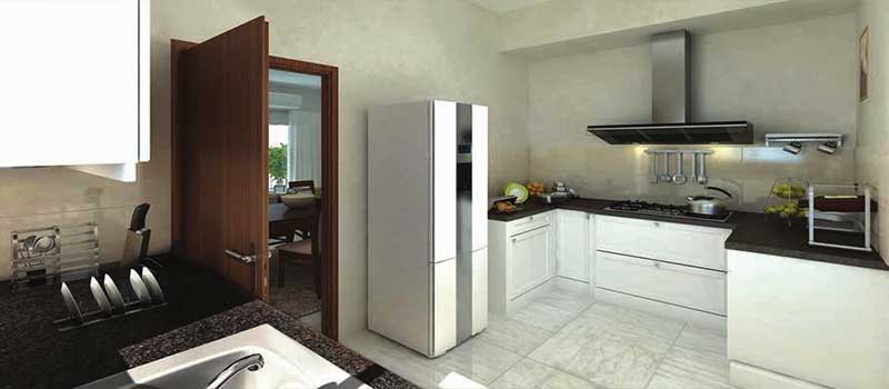 Prestige Willow Tree